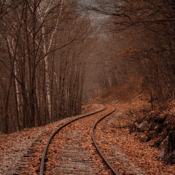 Fall Road by Adam Bixby
